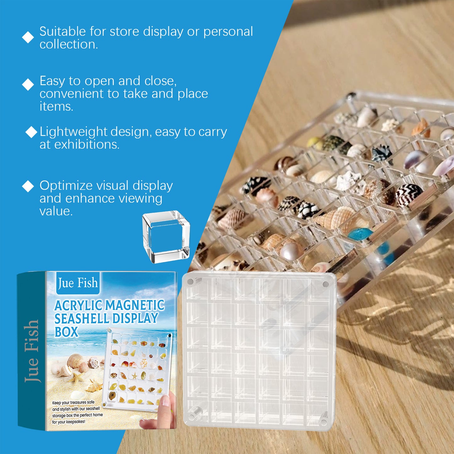 Acrylic Shells Display Case Seashells Holder For Collectors Seashells Presentation Box