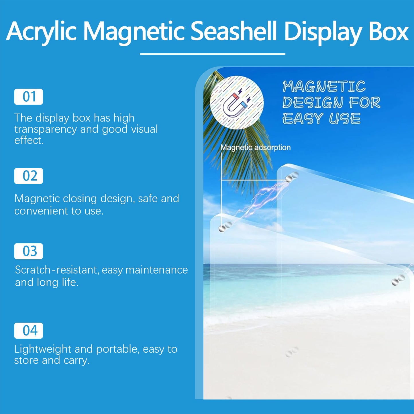 Acrylic Shells Display Case Seashells Holder For Collectors Seashells Presentation Box
