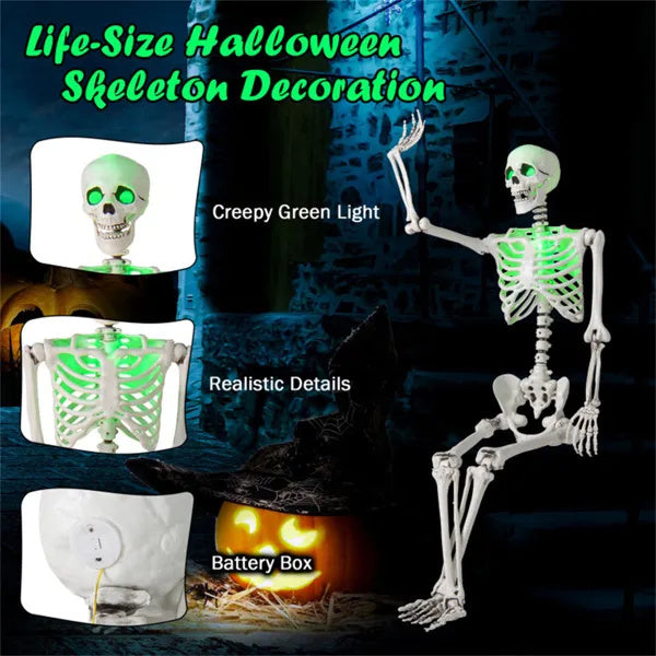 5.5ft Life-Size Pre-Lit Halloween Skeleton - Built-In Green LED Lights Eyes Chest , Fully Poseable Joints, PP PE Material