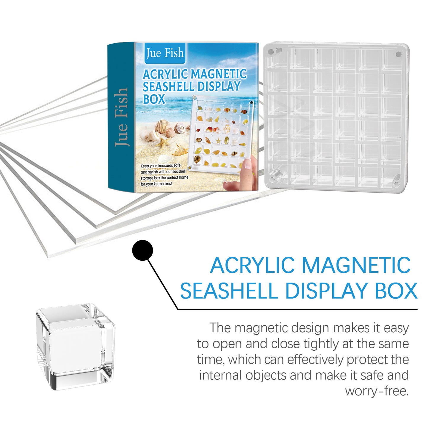 Acrylic Shells Display Case Seashells Holder For Collectors Seashells Presentation Box