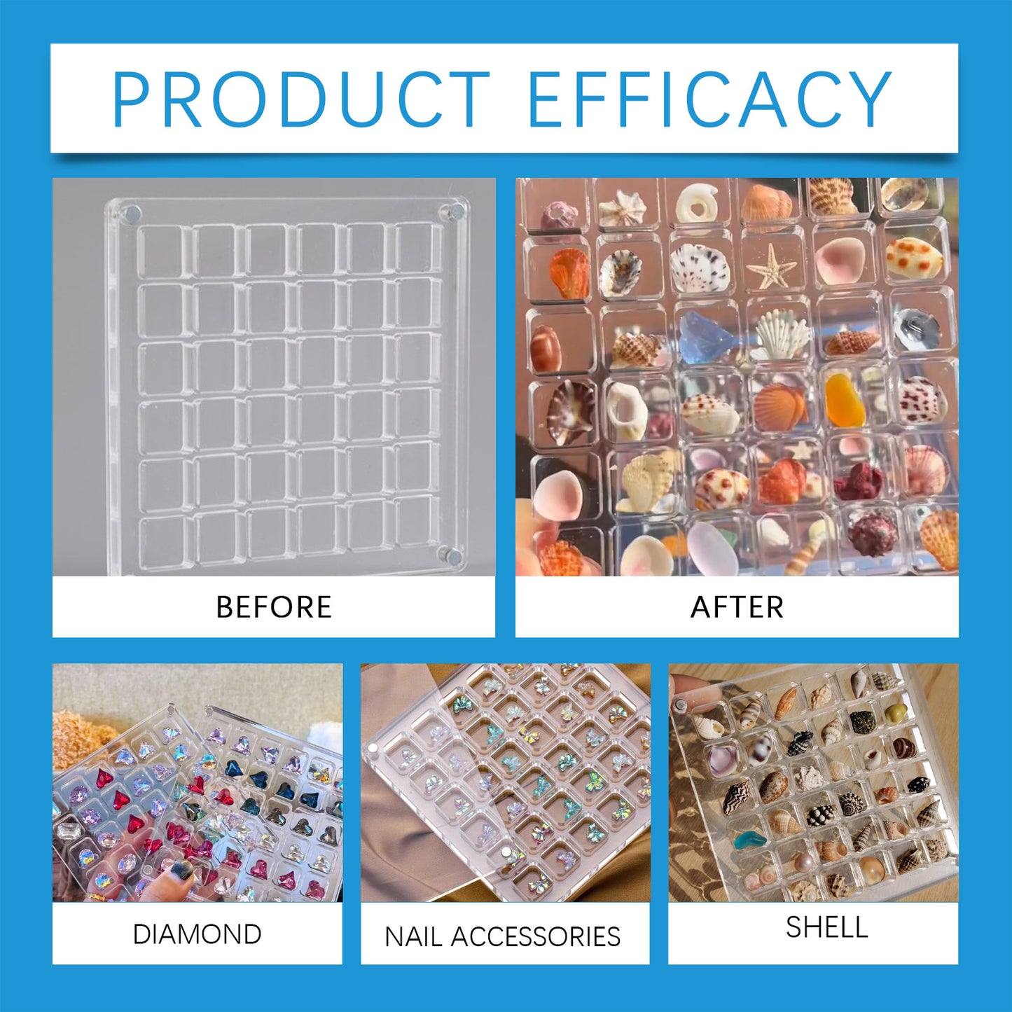 Acrylic Shells Display Case Seashells Holder For Collectors Seashells Presentation Box