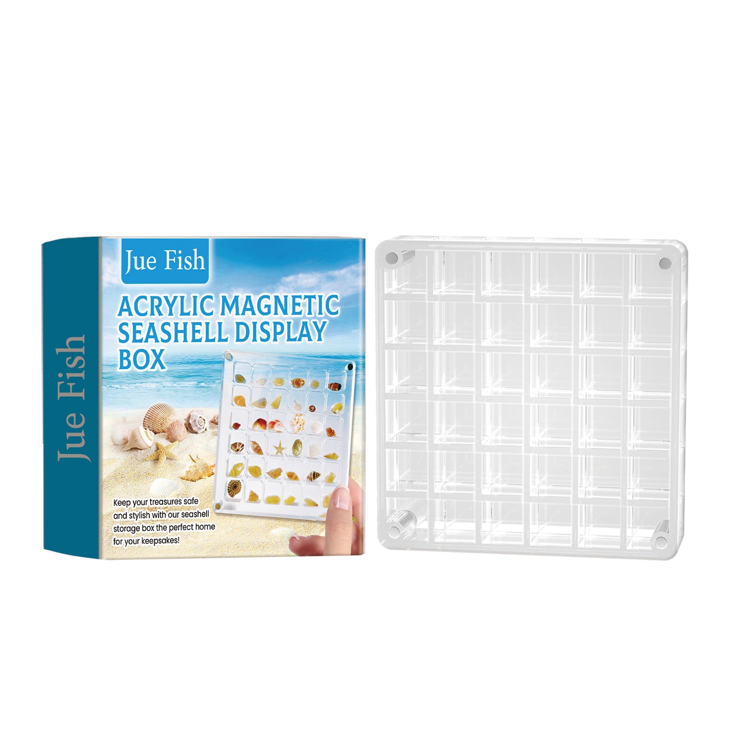 Acrylic Shells Display Case Seashells Holder For Collectors Seashells Presentation Box