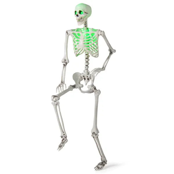 5.5ft Life-Size Pre-Lit Halloween Skeleton - Built-In Green LED Lights Eyes Chest , Fully Poseable Joints, PP PE Material