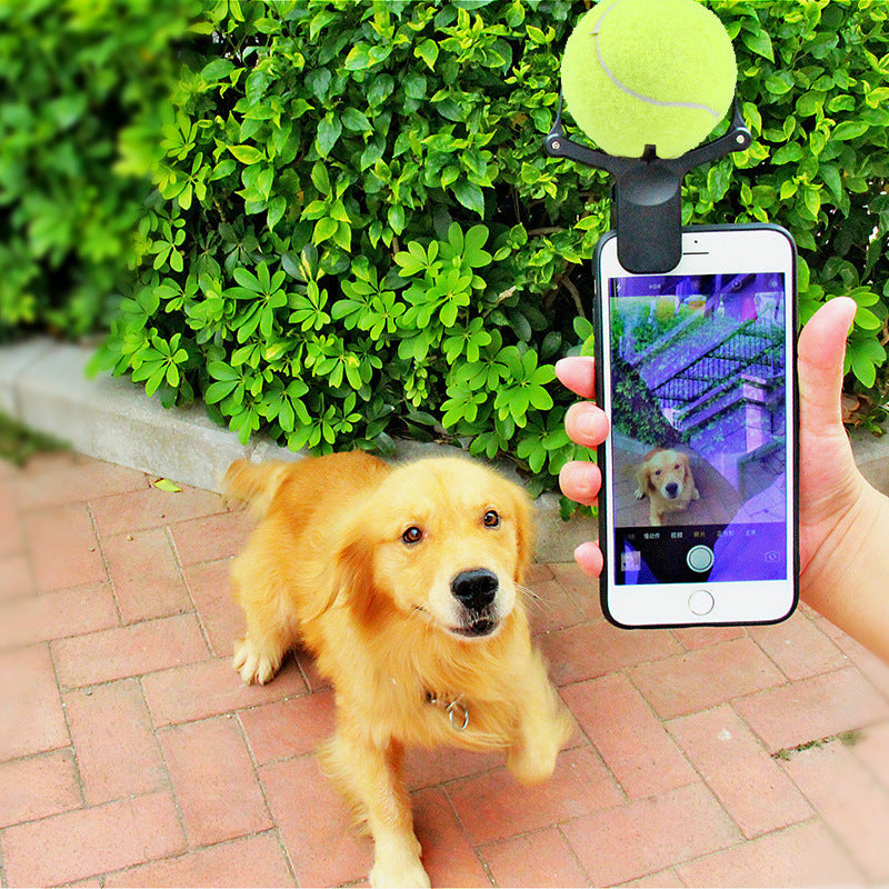 Dog with a tennis ball holder attached to a phone, showing a dog on the screen, against a green bush background.