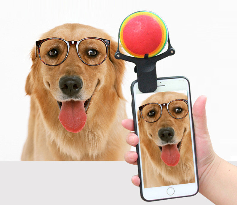 Dog wearing glasses with a smartphone showing a photo of the dog, all on a white background.