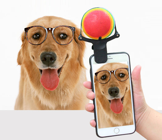 Dog wearing glasses with a smartphone showing a photo of the dog, all on a white background.