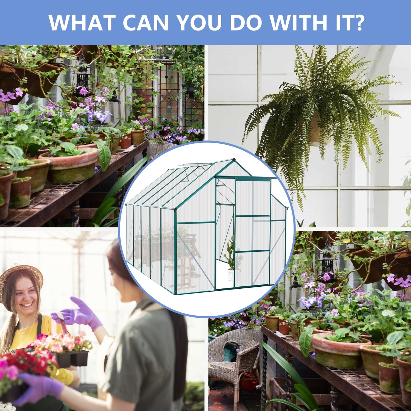 6X10FT Polycarbonate Greenhouse With Raised Base, Anchor, Heavy Duty Walk-in