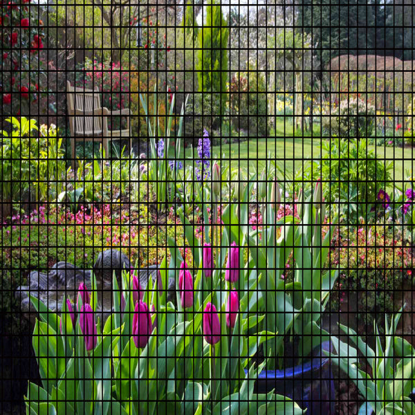 Metal Garden Plant Fence For Chicken Coop And Home Decoration