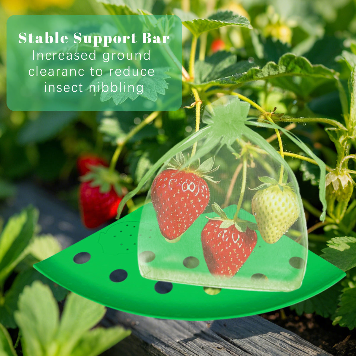 8Pcs Strawberry Planting Kit With 20Pcs Insect-proof Mesh Bag
