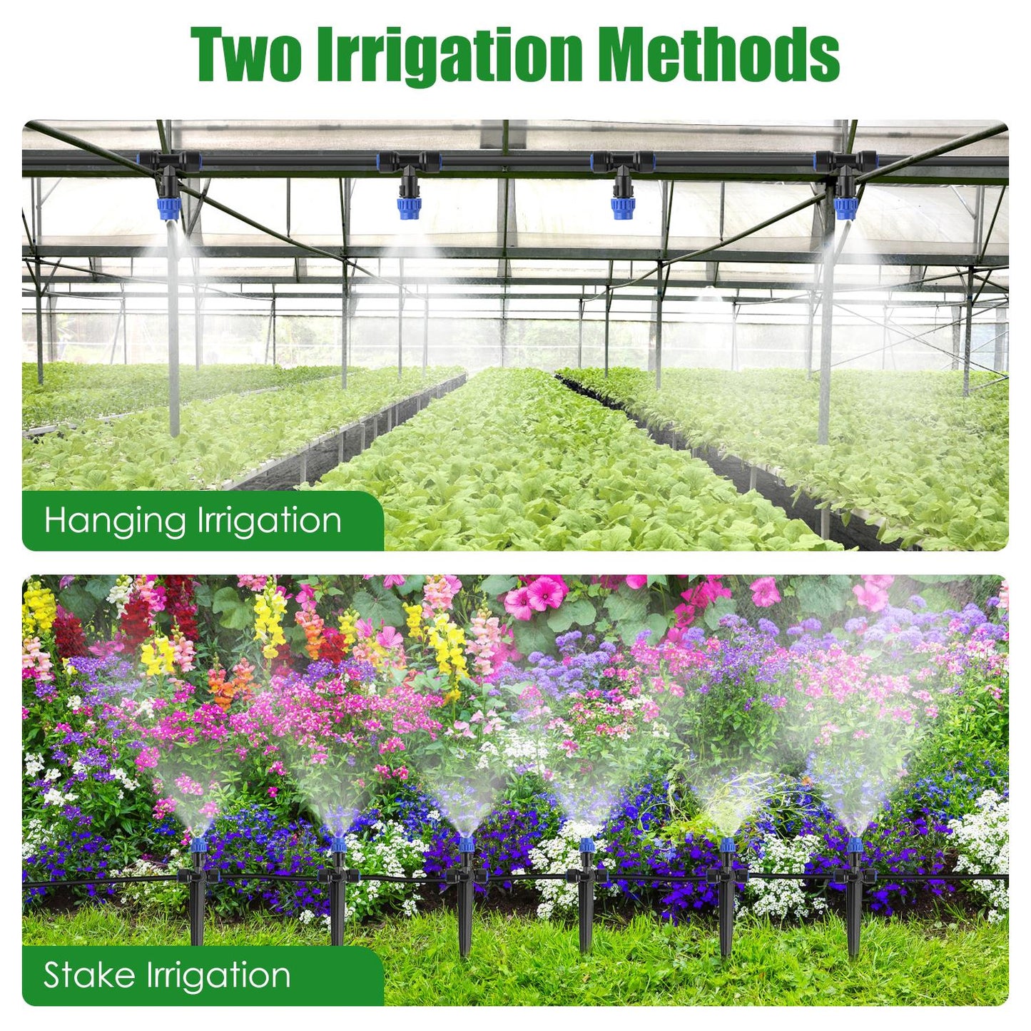 Two irrigation methods shown in a greenhouse setting with hanging and stake irrigation systems.