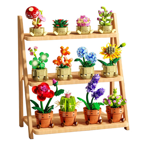 Wooden shelf with decorative potted plants and a motivational quote on a light background