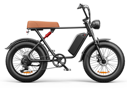 C91 - 20 Inch 20A Electric Bike Different Style Vintage, Classic, Motorcycle Style