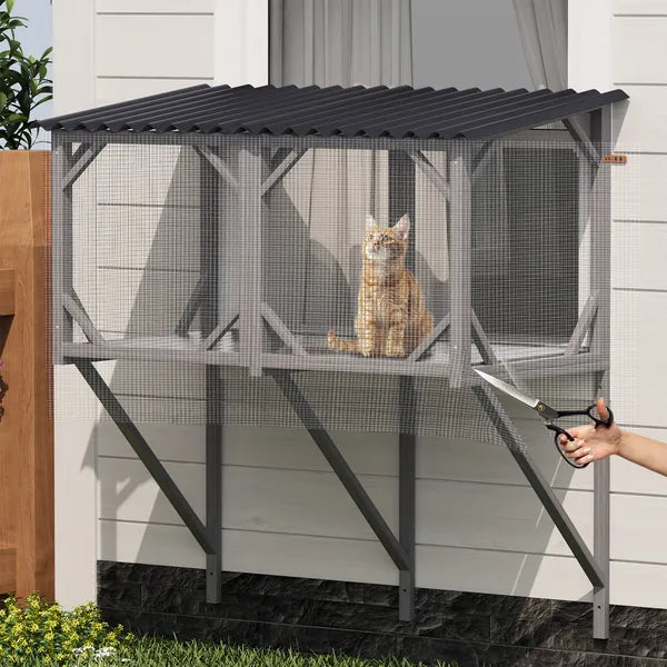 Cat in a catio with a person holding scissors, set against a neutral background