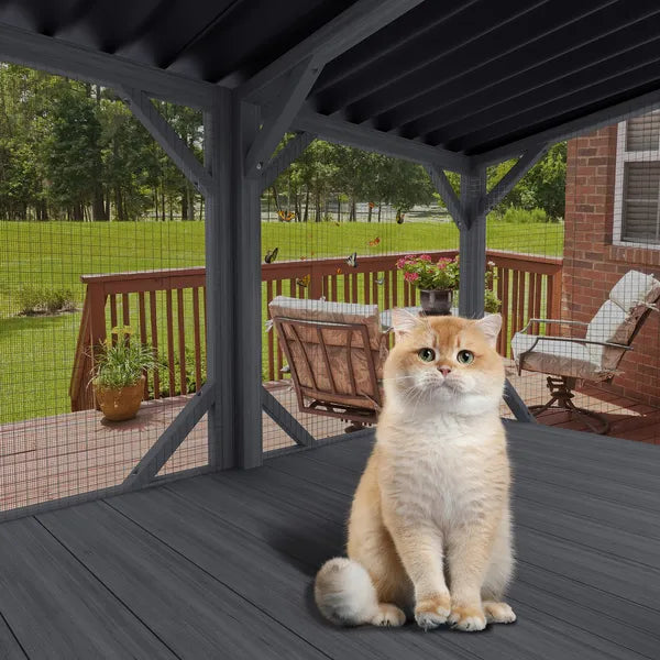 Cat sitting on a covered patio with a view of a garden and deck.
