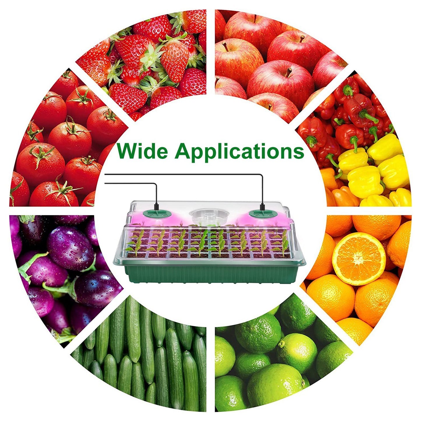 2Pcs 40 Cells Seed Starter Tray Plant Grow Light With 4 Adjustable Brightness Automatic Timing Setting Humidity Dome Plant Germination Garden